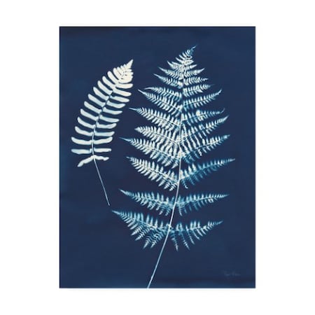 Piper Rhue 'Nature By The Lake - Ferns V' Canvas Art,24x32